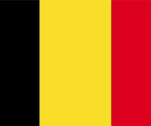 Acheter fichier email Belgique : 210 000 emails Opt-in de qualité supérieure | Fichiers B2C Belgique