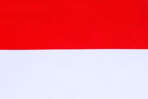 Acheter Fichier Email Entreprises 125 000 Emails Indonésie